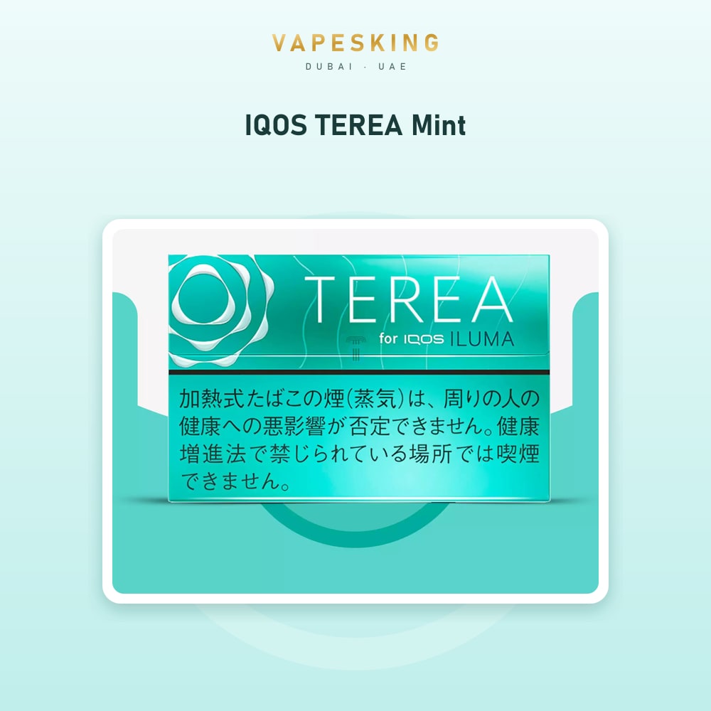 IQOS TEREA Mint pack of 20 heated tobacco sticks for IQOS ILUMA — in stock at Vapes King Dubai